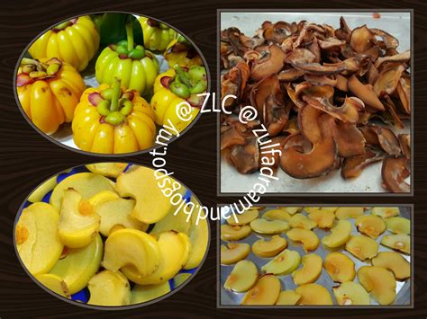 This species grows wild throughout peninsular malaysia but is also widely cultivated, especially in the northern states, owing to its economic and medicinal value. ZULFAZA LOVES COOKING: Asam gelugur aka asam keping
