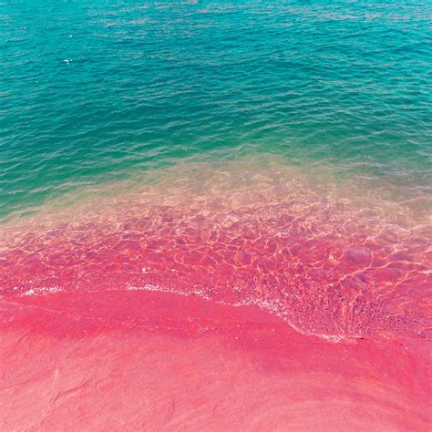 Np20 Sea Water Beach Summer Nature Pink Wallpaper