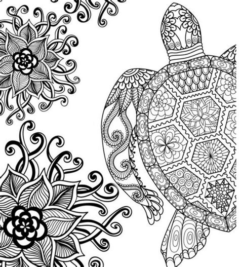 Adult Coloring Pages Turtle At Free Printable
