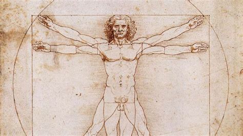 Leonardo Da Vinci May Have Copied The Vitruvian Man Fox News
