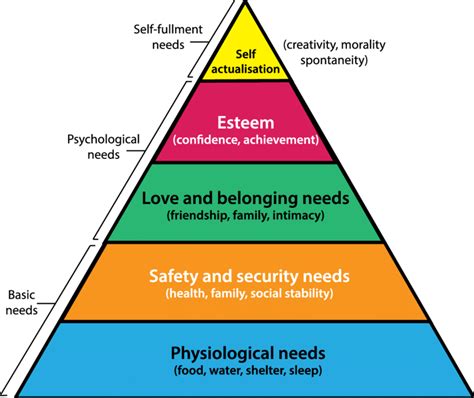 Pavlov S Hierarchy Of Needs Pyramid