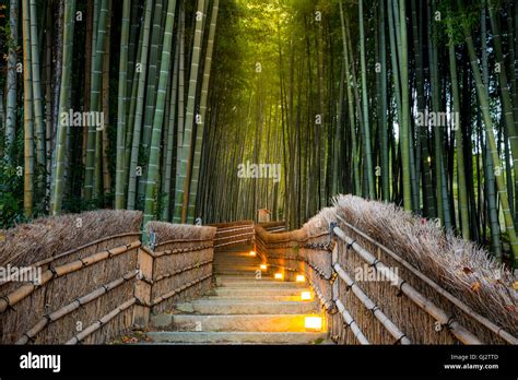 Arashiyama Bamboo Forest In Kyoto Japan Stock Photo Alamy