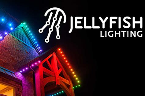 Jellyfish Lighting Franchise Cost And Fees Opportunities And Investment