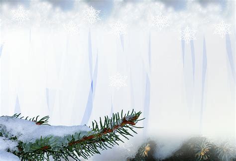 Snow Winter Christmas Free Image On Pixabay