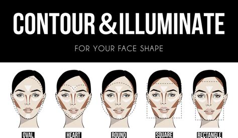 what makeup s do you need to contour your face makeup vidalondon
