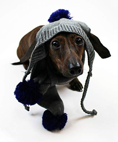 The Best Winter Dog Hats For The Next Cold Snap Pet Voice