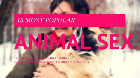 10 Most Popular Animal Sex Related Internet Search Terms And The