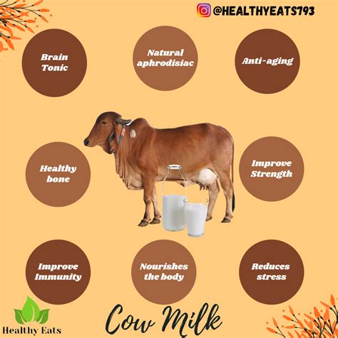Amazing Health Benefits Of Cow Milk