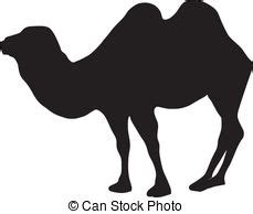 Ebay kamel dromedar stute hengst. Dromedar Clip-Art und Stock Illustrationen. 1.631 Dromedar ...