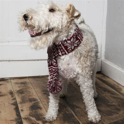 Knitted Snowflake Dog Scarf By Mutts And Hounds