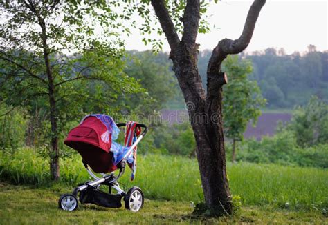 Baby Stroller In The Park Stock Image Image Of Anticipation 41848903