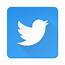 Twitter Icon Concept  UpLabs