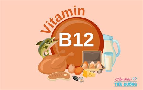 Vitamin B12 Kiến Thức Dinh Dưỡng Kienthuctieuduongvn