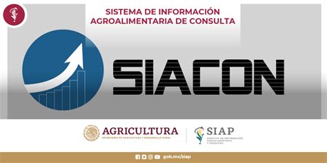 Siacon Servicio De Información Agroalimentaria Y Pesquera Gobierno