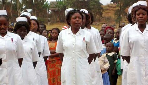 Zimbabwe Nurses Return To Work After Ending Strike Africa Feeds