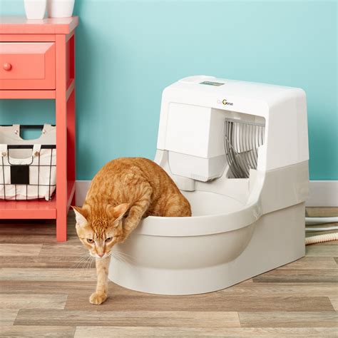 Catgenie Self Flushing Cat Box