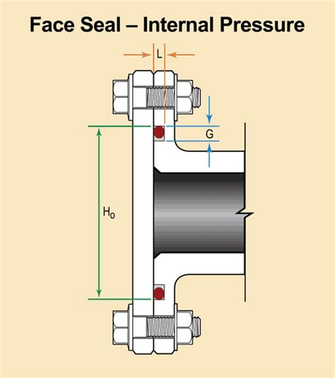 Static O Ring Seal Face Type Seal Gallagher Fluid Seals Inc