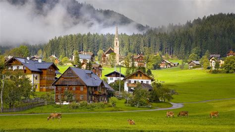 Австрия Austria Gosau Village деревня дома коровы Обои для рабочего стола