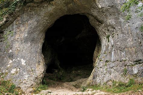 16500 Cave Entrance Stock Photos Pictures And Royalty Free Images Istock