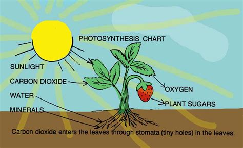 The Sun And You