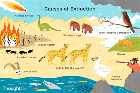 Lets Blog The Sad Story Of Extincted Animals