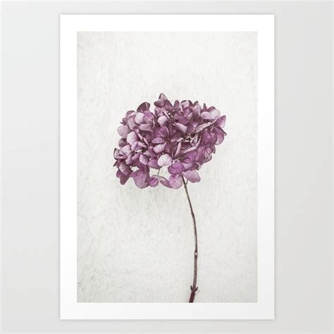 Collect your choice of gallery quality Giclée or fine art prints