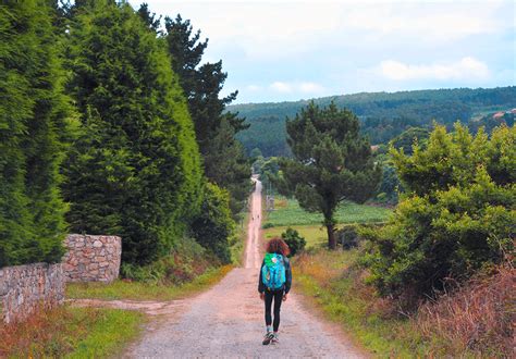 Camino De Santiago Portugués Desde Tui En 8 Días