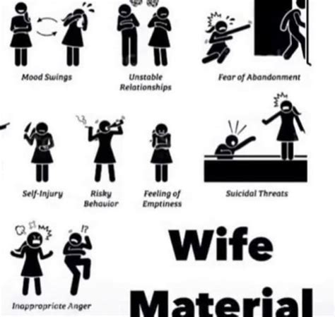 wife material r bpdmemes