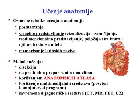 Anatomija Uvod 1 Ppt