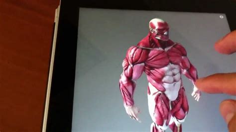 Best Anatomy App For Artists Youtube