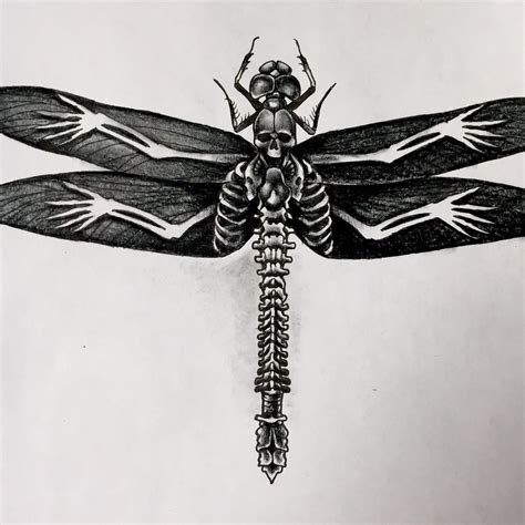 Another Variation On The Skull Dragonfly Theme By John Mckee At