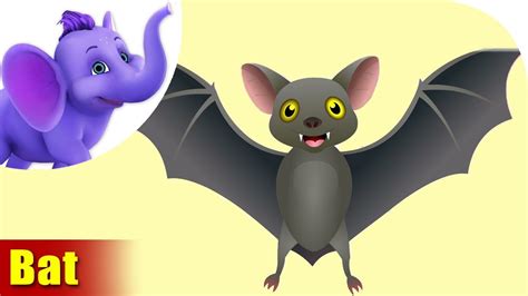 Bat Rhymes Bat Animal Rhymes Videos For Children Youtube