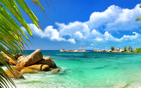 Aruba Luxury Hotel And Beach Wallpaper For Widescreen Desktop Pc