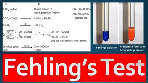 Fehlings Test Principle Procedure And Reagent Preparation Youtube