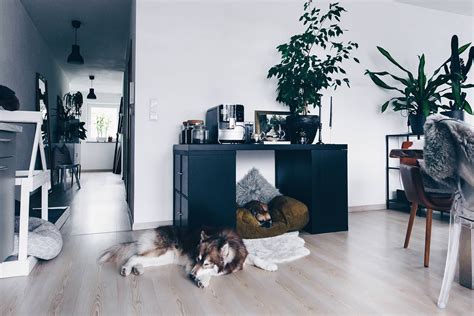 Klimaanlage für wohnung und haus klimaanlagen sind nicht nur firmen, behörden oder teuren hotels vorbehalten: DIY: Hundehütte für die Wohnung selber bauen (inklusive ...