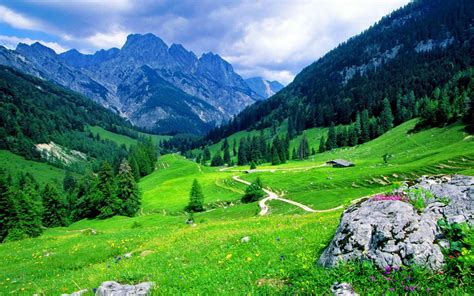 Berchtesgadener Alpen National Park Bavaria Germany Beautiful Green