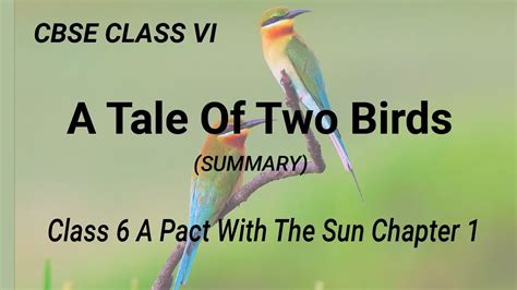A Tale Of Two Birds Summary Class 6 Ncert A Pact With The Sun