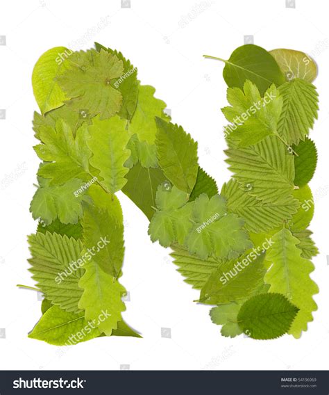 Green Leaf Font In White Letter N Stock Photo 54196969 Shutterstock