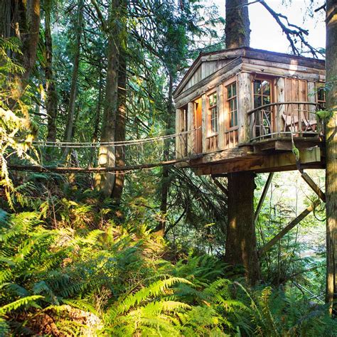 20 Tree Houses Thatll Make You Want To Get One Of Your Own