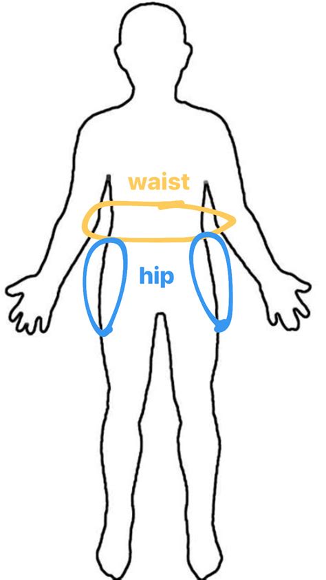 🆚what Is The Difference Between Hip And Thigh Hip Vs Thigh Hinative