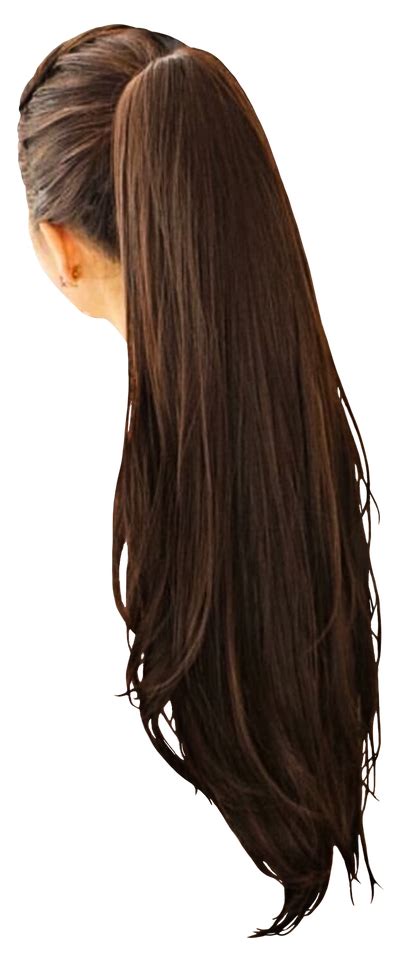 Girl Hair Brunette Ponytail Really Long 3 By Pngtransparency On