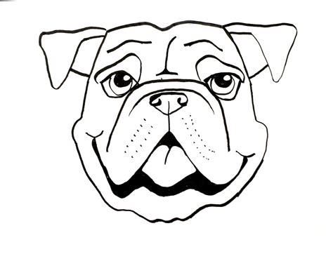 Dog Face Drawing Free Download On Clipartmag