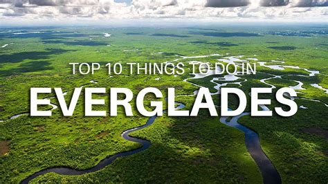 What Are Three Interesting Facts About Everglades National Park Tipseri