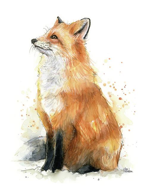 Fox Watercolor Painting By Olga Shvartsur Fine Art America