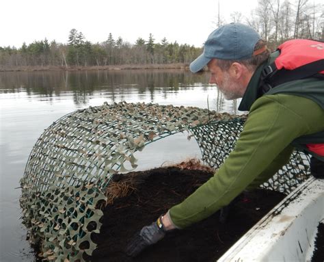 Nest Rafts Loon Preservation Committee