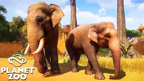 Best Zoo Building Game Ever Made Planet Zoo Tycoon Building Gameplay