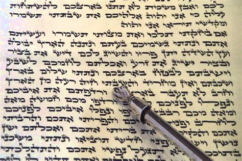 The 4 Shabbatot Shekalim Zachor Parah And Hachodesh