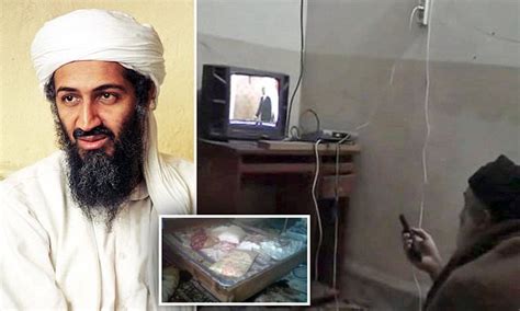 Osama Bin Laden May Have Hidden Messages In Porn Videos To Secretly