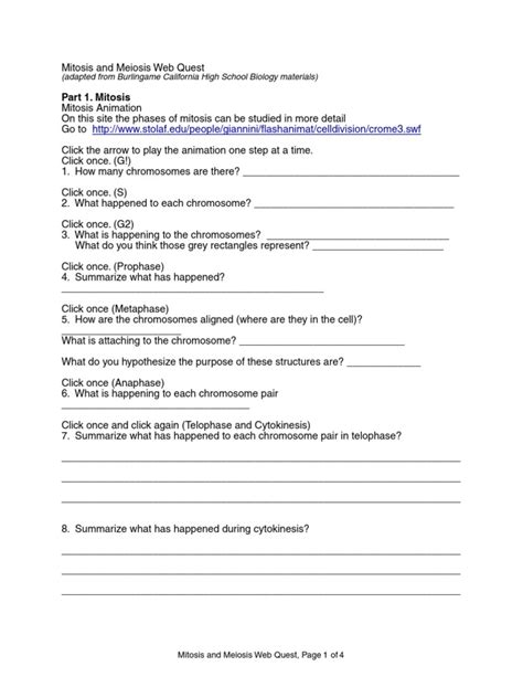 Mitosis And Meiosis Webquest Quizlet + mvphip Answer Key