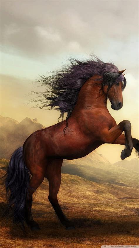 Discover The Best 500 Horse Background Pictures In Hd Quality For Free